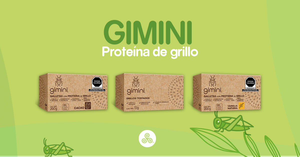 GIMINI 🦗