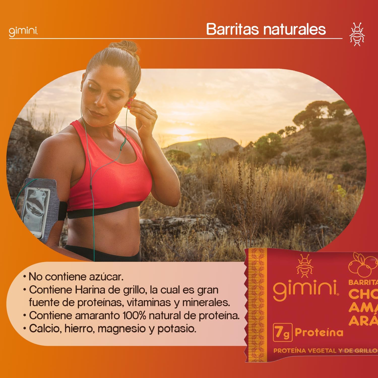 Gimini, Barritas de Chocolate Amaranto y Arandano Pack 12pz