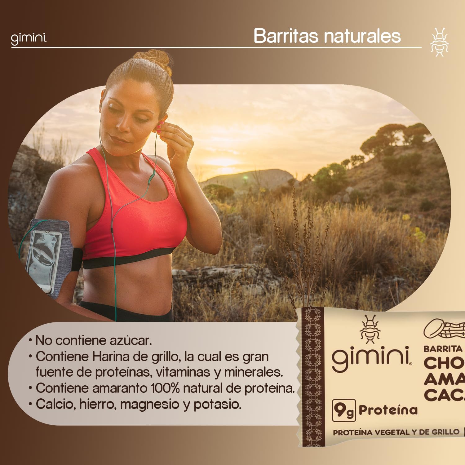 Barritas de Chocolate con Amaranto y Cacahuate Pack 12pz